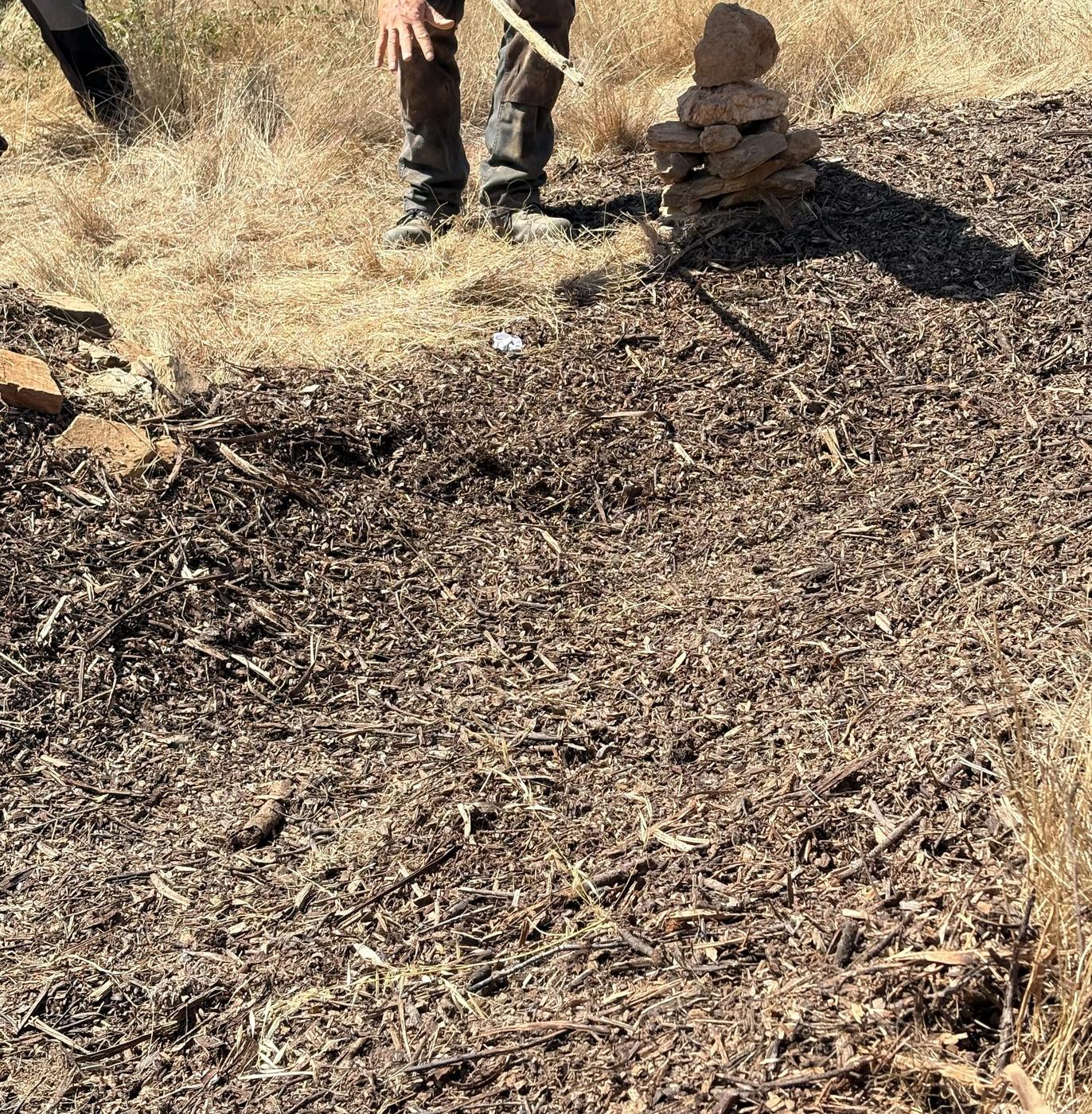Steinmarkierung auf dem Grundstück zur Einmessung der geplanten Gartenbereiche